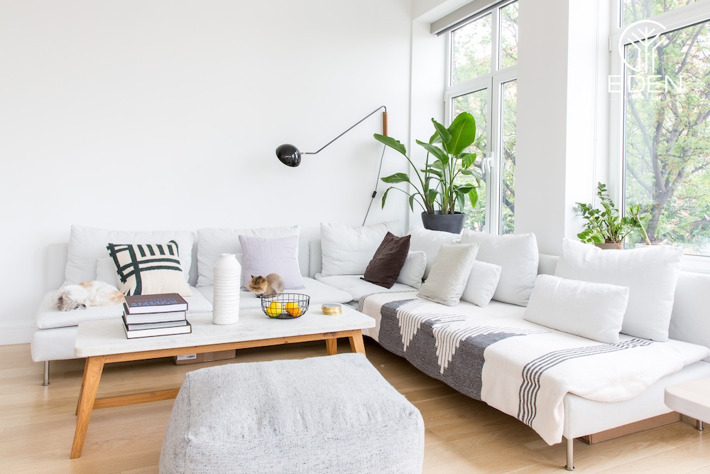Trần cao kết hợp ghế sofa kiểu dài mang đến không gian rộng rãi, cùng với cửa sổ giúp lấy ánh sáng tự nhiên dễ dàng nhất