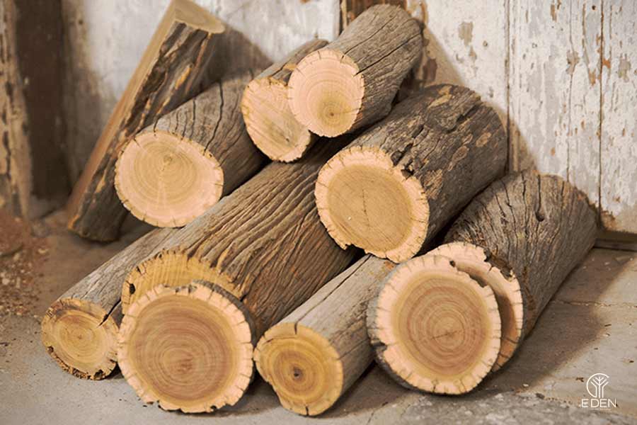 Giá trị của loại gỗ dổi 