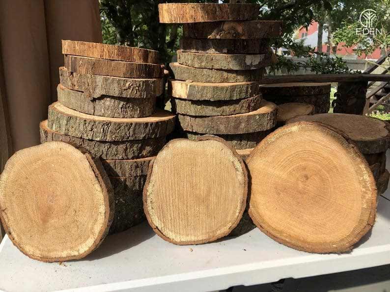 Gỗ sao là gỗ gì? Gỗ sao giá bao nhiêu?