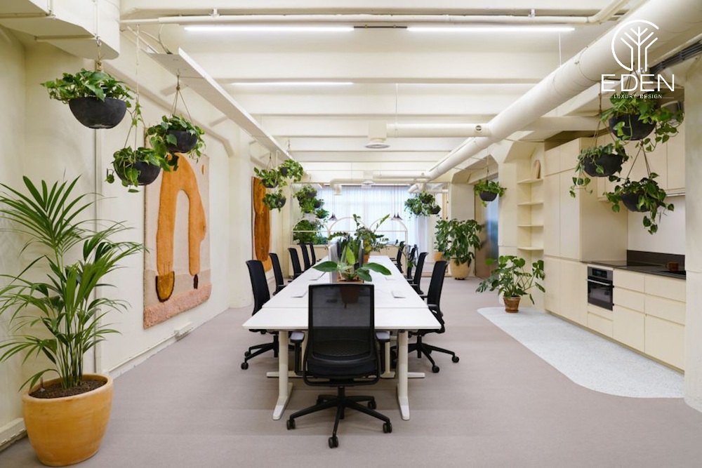 Trang trí cây xanh để không gian văn phòng tươi tắn, thư giãn tinh thần khi làm việc