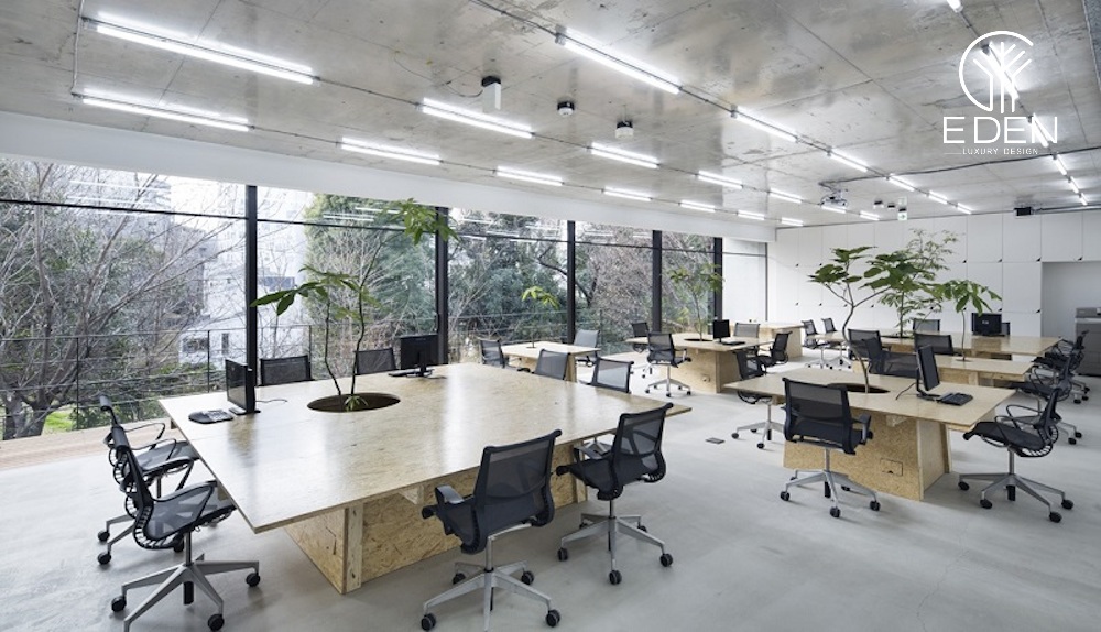 Văn phòng mở được thiết kế với không gian vô cùng rộng rãi
