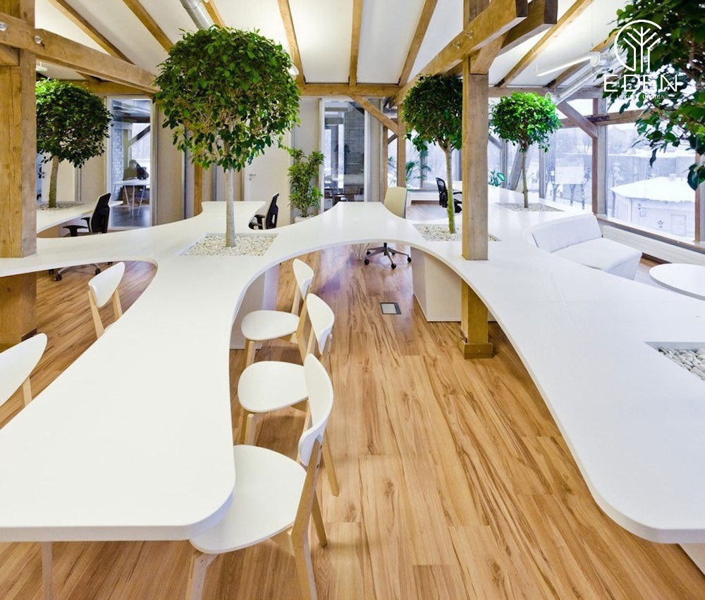 Mẫu văn phòng xanh tạo nên không gian làm việc rộng rãi, dễ chịu cho người làm