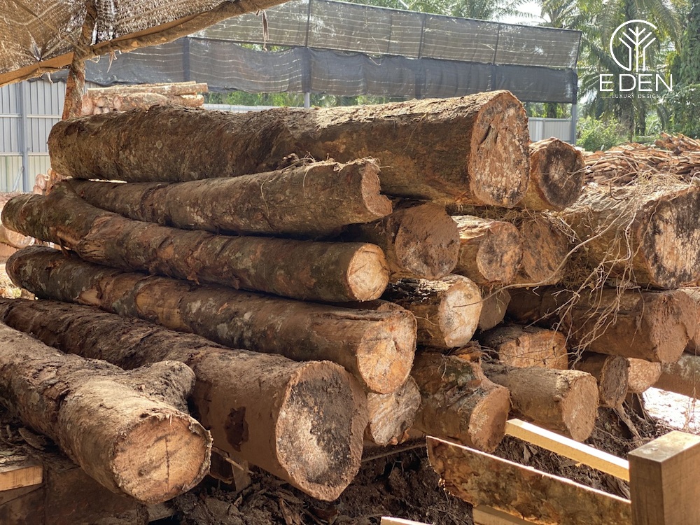 Để chế biến hoàn chỉnh gỗ ghép từ cây cao su phải qua quy trình phức tạp