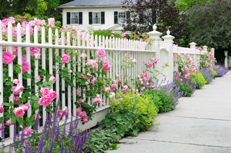 Thiết kế hàng rào đẹp để bảo vệ nhà ở