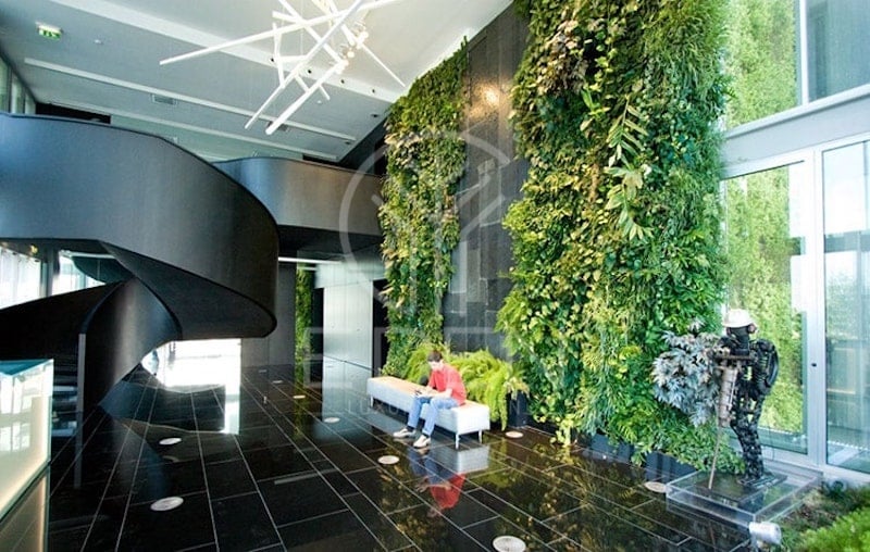 Bức tường cây leo ấn tượng giúp văn phòng bất động sản hòa hợp với thiên nhiên
