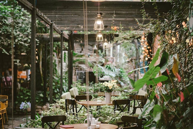 Thiết kế cafe sân vườn phong cách Tropical đầy cuốn hút
