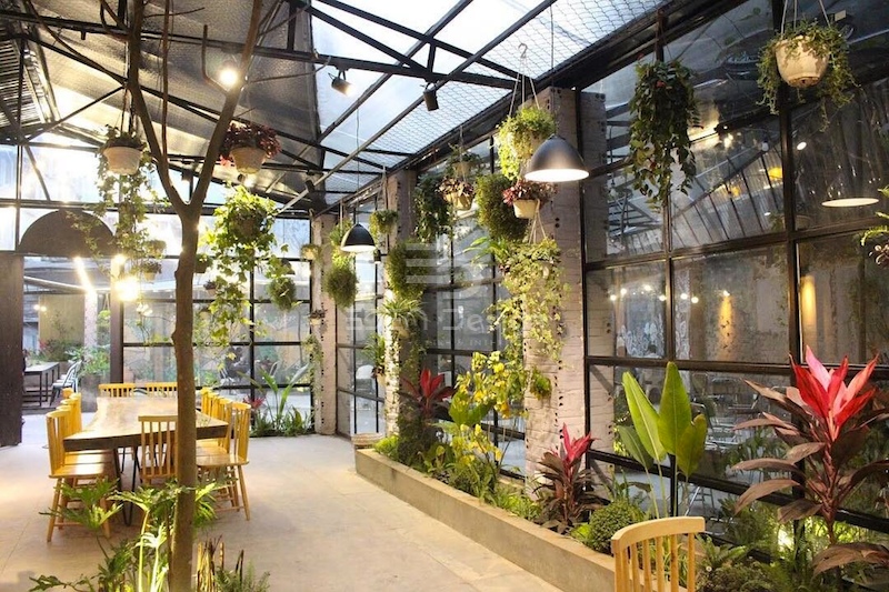 Phong cách xanh - Phong cách thiết kế quán cafe 5m lý tưởng