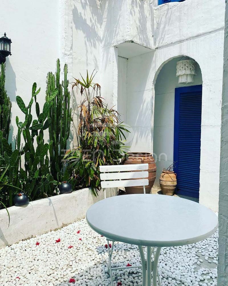 Xương rồng là loài cây quen thuộc khi trang trí cho không gian quán cafe Địa Trung Hải