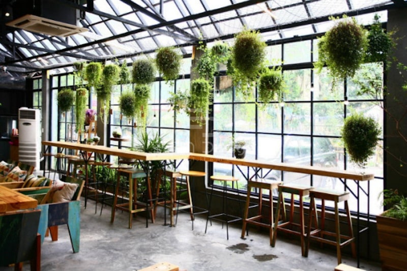 Trang trí trần quán cafe bằng những chậu cây xanh bắt mắt