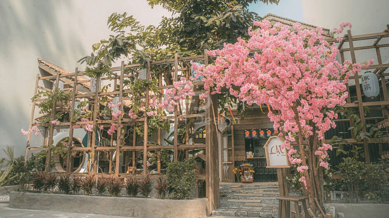Quán cafe Nhật Bản gây ấn tượng bởi cây hoa anh đào lớn trước cổng