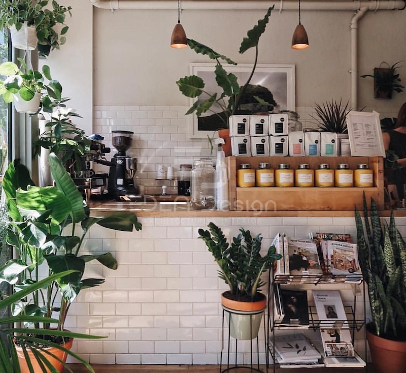 Quán cafe phong cách nhiệt đới không thể thiếu những chậu cây xanh