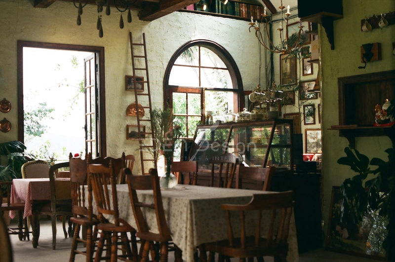 Thiết kế quán cafe phong cách Vintage với điểm nhấn là những mảng xanh và ánh sáng tự nhiên