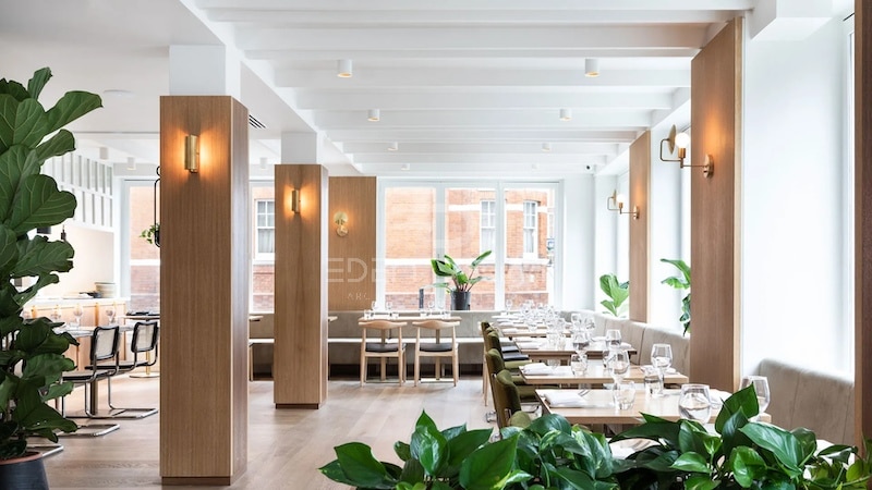 Thiết kế nhà hàng chay tràn ngập ánh sáng tự nhiên giúp tịnh tâm và thư giãn