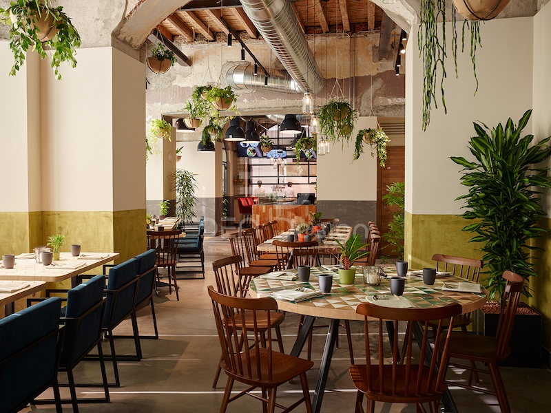 Trang trí nhà hàng chay bằng nhiều cây xanh và dùng vật liệu thiên nhiên