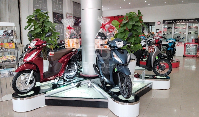 Chậu cây và tiểu cảnh xanh mang đến sức sống mới cho showroom