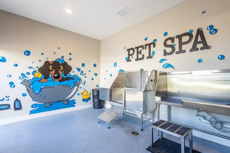 Dịch vụ spa ngày càng được ưa chuộng để làm đẹp và tăng cường sức khỏe cho thú cưng