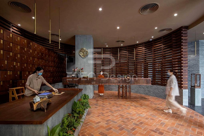 Trang trí bằng cây xanh là một giải pháp hay để hạn chế mùi nồng của dược liệu.