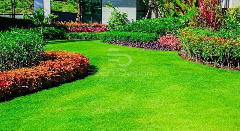 Trồng các loại cỏ tự nhiên xung quanh nhà để phòng ngừa rết bò vào nhà