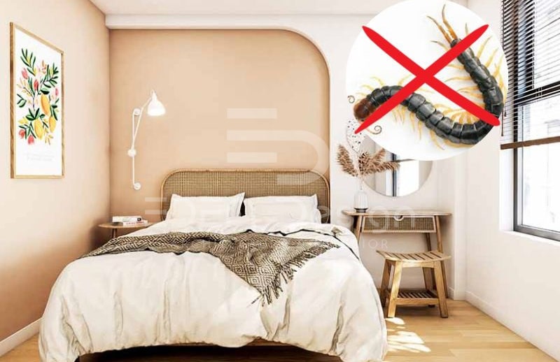 Top các cách diệt rết trong phòng ngủ an toàn và hiệu quả