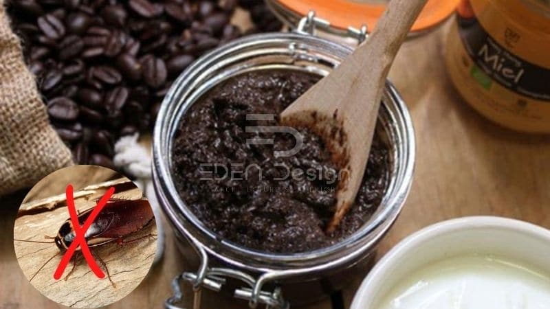 Hãy đặt bã cà phê ở những nơi mà gián thường xuyên lui tới để diệt chúng