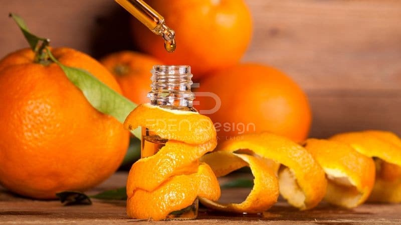 Tinh dầu cam quýt có thể giúp bạn xua đuổi gián ra khỏi phòng ngủ