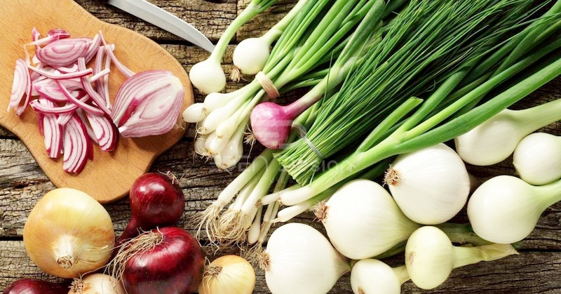 Hành cũng là một dũng sĩ đuổi kiến hiệu quả