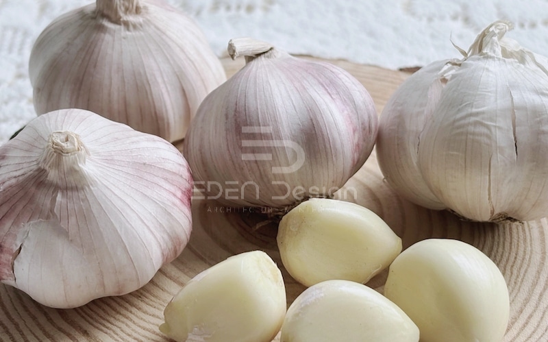 Mùi tỏi là một mùi hương kiến rất không thích