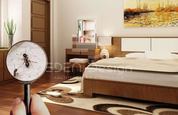 Hướng dẫn cách đuổi kiến trong phòng ngủ an toàn và hiệu quả