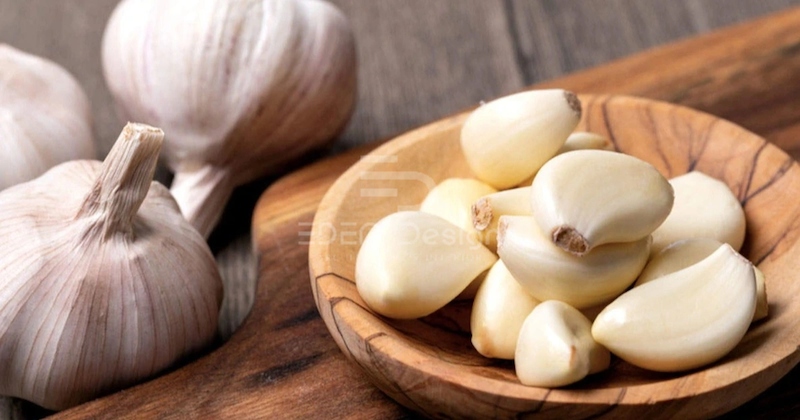 Tỏi còn được coi là một “phương thuốc quý” giúp cải thiện sức khỏe và tăng đề kháng