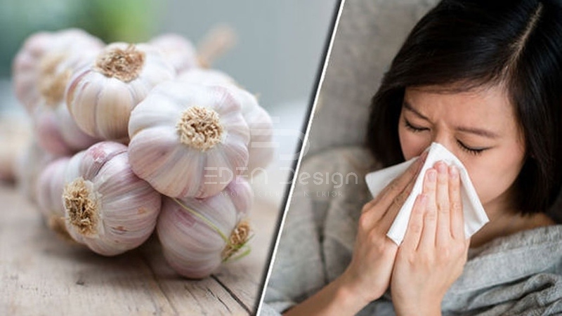 Tỏi giúp tăng hệ miễn dịch và tránh các bệnh cảm cúm thông thường