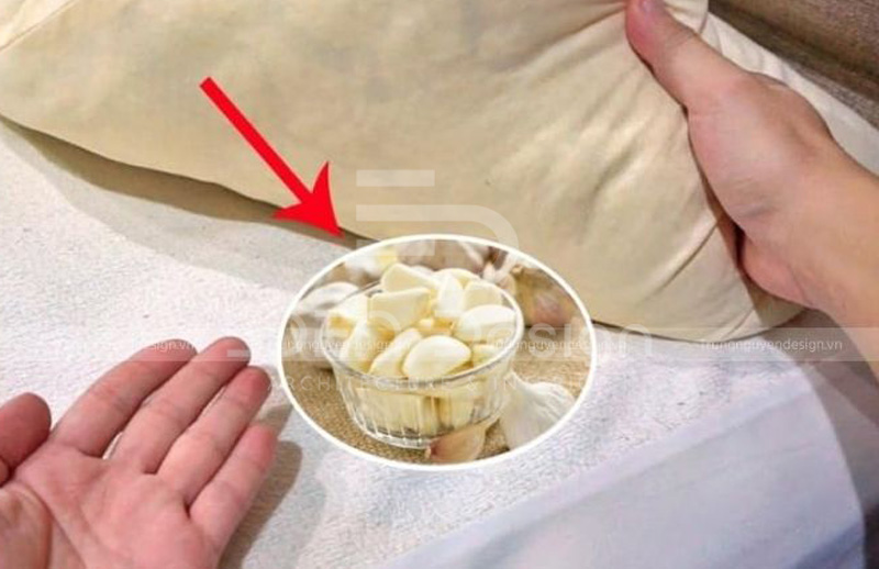 Có nên để tỏi trong phòng ngủ không? Tác dụng & lưu ý cần biết